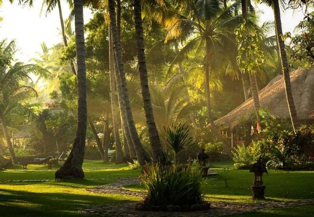 Jógový retreat s Jožem Rabarou na BALI