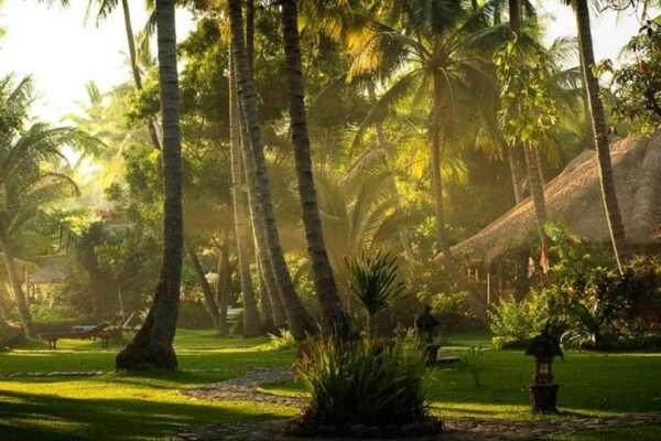 Jógový retreat s Jožem Rabarou na BALI